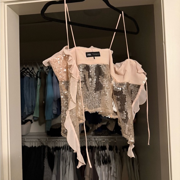 Zara Tops - Zara Blush Sequin Crop Top